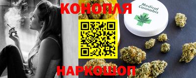 индика Ефремов