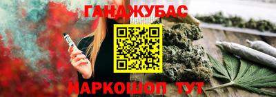 индика Ефремов