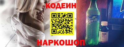 индика Ефремов