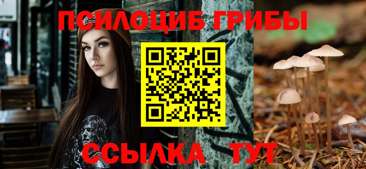 Красный Сулин  Галлюциногенные грибы прущие грибы  Вход с VPN  Псилоцибиновые грибы MAGIC MUSHROOMS 